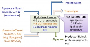 Algal photobioreactor: co-CO2 fixation and nutrient removaL 